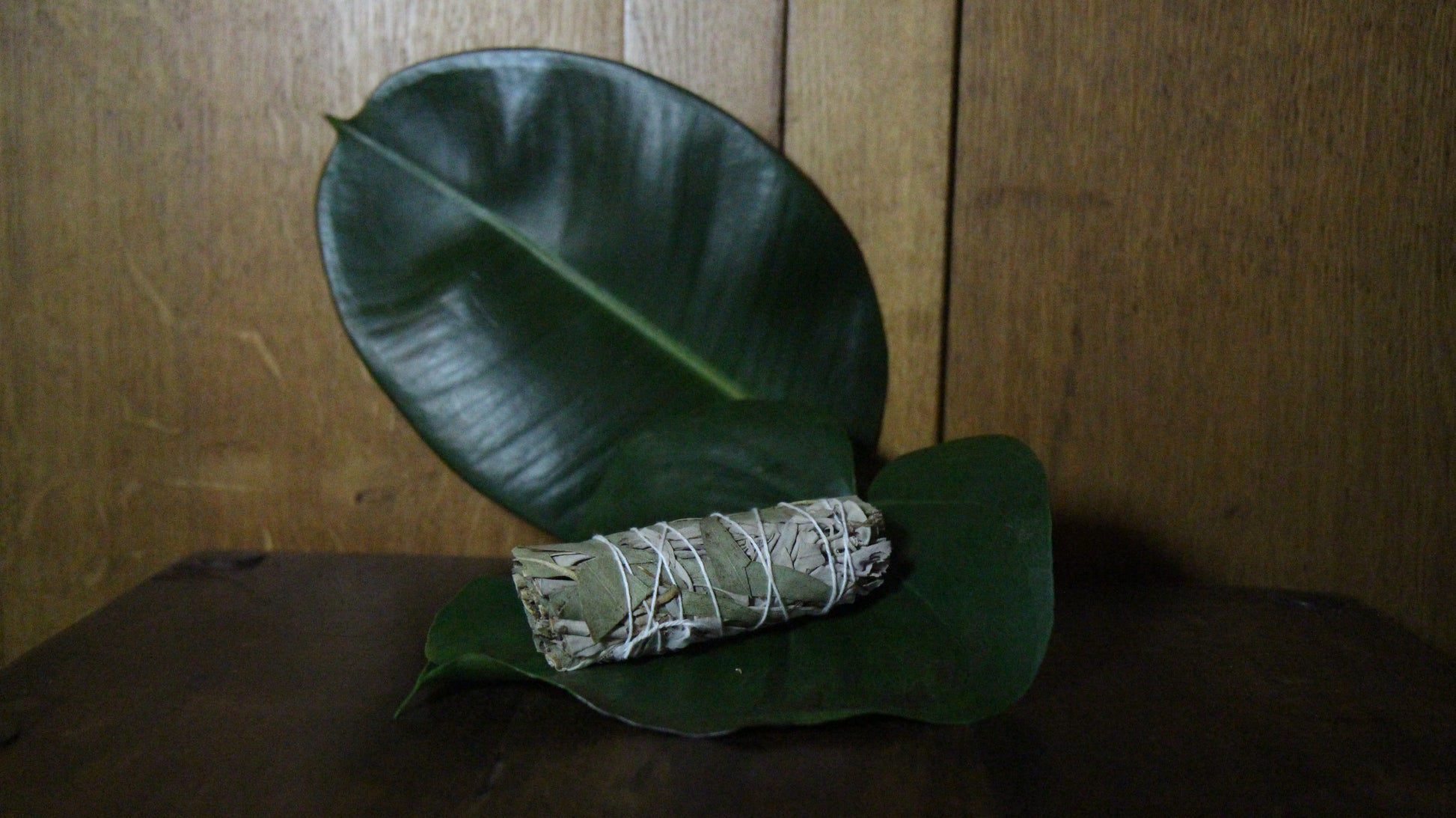 Smudge Stick - White Sage & Eucalyptus 10 cm