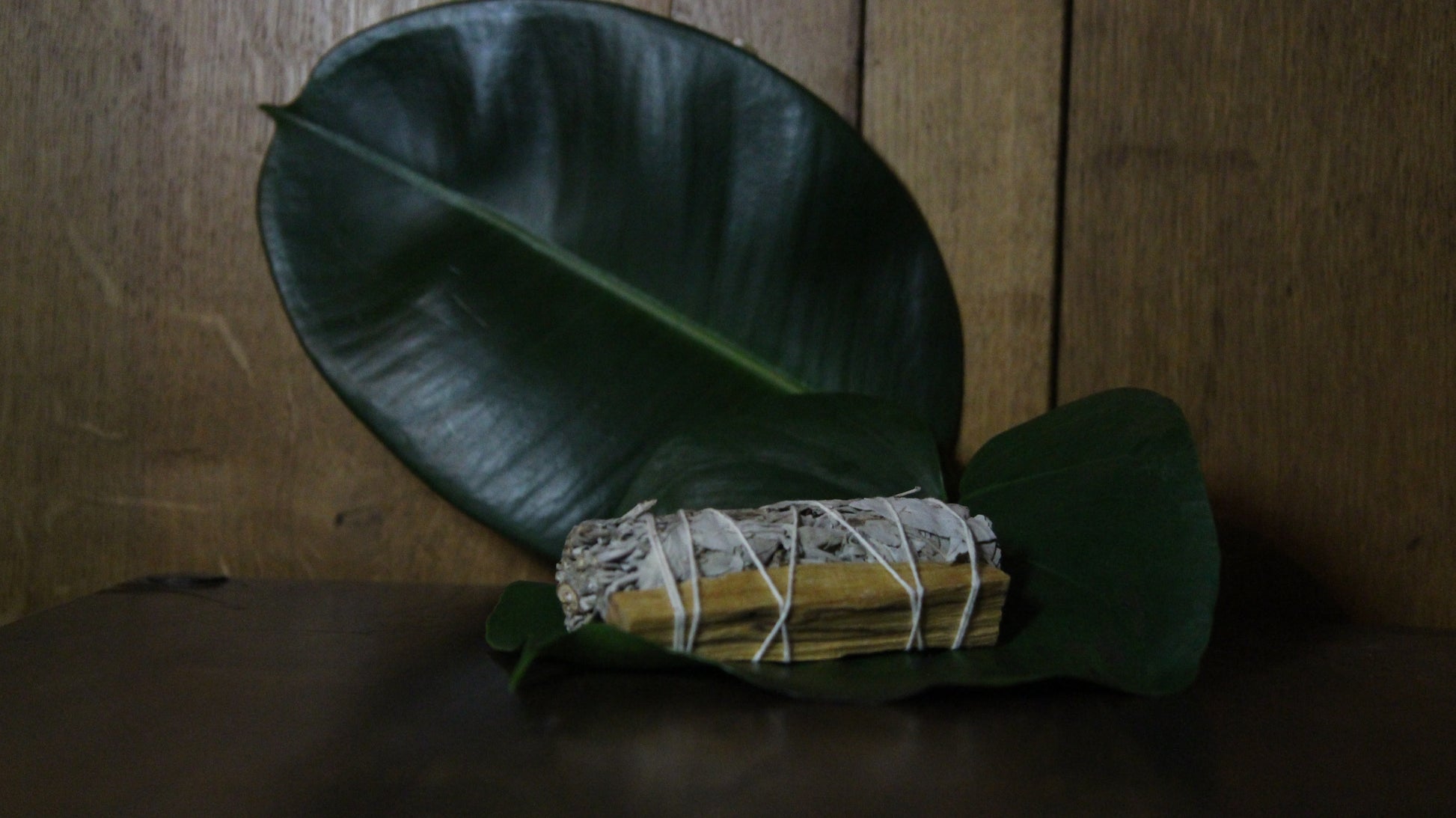 Smudge Stick - White Sage & Palo Santo Smudge 10 cm